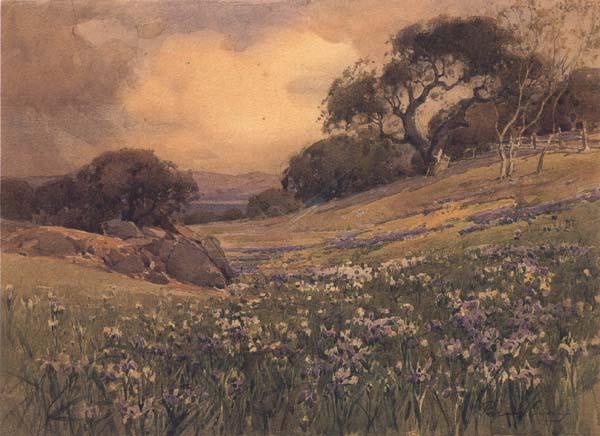 unknow artist Landscape with Field of Iris oil painting picture